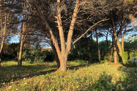 Terra a Saint-Tropez, Var, Saint-Tropez - € 2.925.000 | Ref: HH-15626475 - foto 3