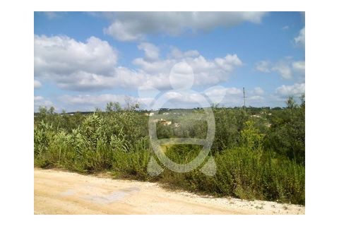 Terra a Cernache, Coimbra, Cernache - € 150.000 | Ref: 17-461 - foto 2