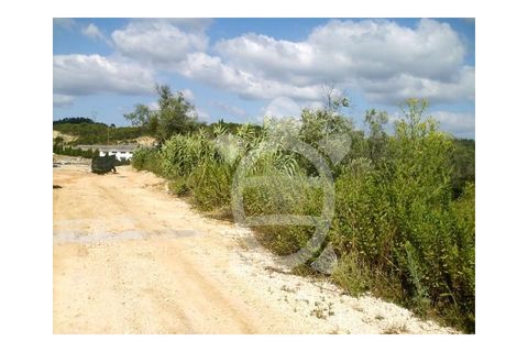 Terra a Cernache, Coimbra, Cernache - € 150.000 | Ref: 17-461 - foto 3