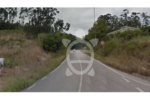 Terra a Cernache, Coimbra, Cernache - € 80.000 | Ref: 17-2401 - foto 2