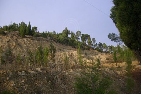 Terra a Cernache, Coimbra, Cernache - € 190.000 | Ref: 17-3492 - foto 2