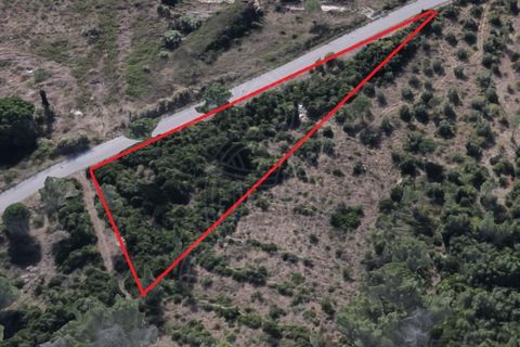 Tomt i Cernache, Coimbra, Cernache - € 15 000 | Ref: 17-5183 - foto 4