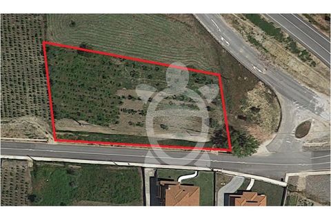 Helårsgrund i Miranda do Corvo, Coimbra, Miranda do Corvo - € 49.500 | Ref: cbr0244 - foto 1