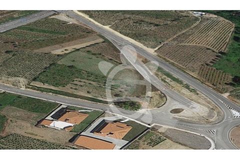 Helårsgrund i Miranda do Corvo, Coimbra, Miranda do Corvo - € 49.500 | Ref: cbr0244 - foto 2