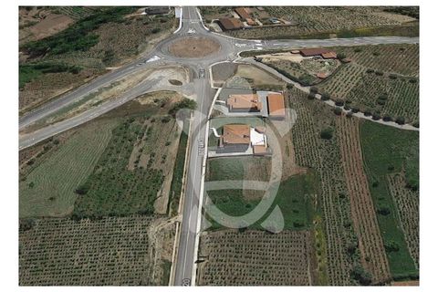 Helårsgrund i Miranda do Corvo, Coimbra, Miranda do Corvo - € 49.500 | Ref: cbr0244 - foto 3