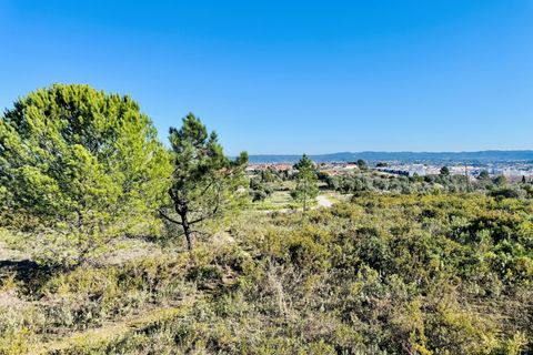 Helårsgrund i Tomar, Santarem, Tomar - € 490.000 | Ref: VCP385 - foto 6