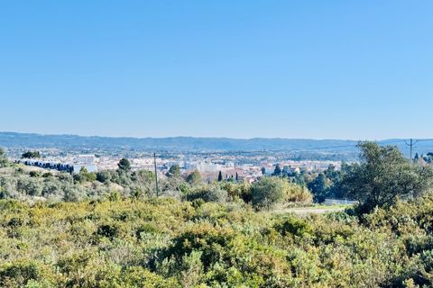 Helårsgrund i Tomar, Santarem, Tomar - € 490.000 | Ref: VCP385 - foto 7
