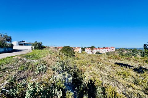 Helårsgrund i Tomar, Santarem, Tomar - € 490.000 | Ref: VCP385 - foto 21