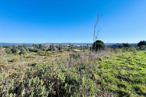 Helårsgrund i Tomar, Santarem, Tomar - € 490.000 | Ref: VCP385 - foto 22