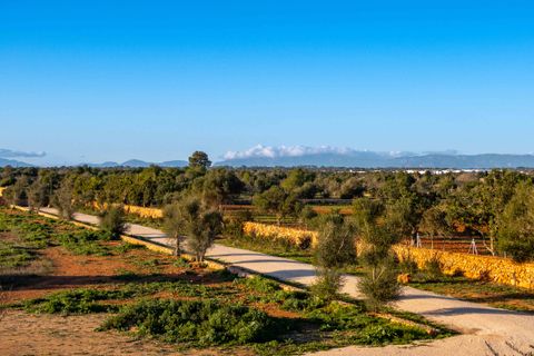 Landejendom i Llucmajor, Mallorca, Llucmajor - € 3.950.000 | Ref: 80850 - foto 18