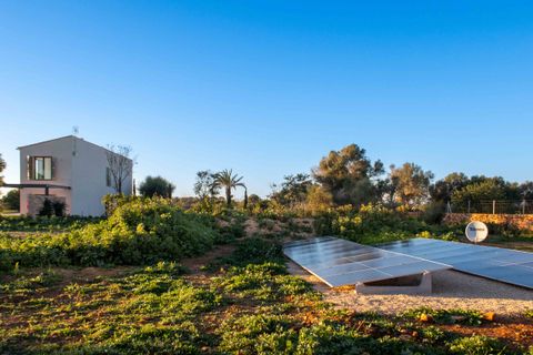 Landejendom i Llucmajor, Mallorca, Llucmajor - € 3.950.000 | Ref: 80850 - foto 26