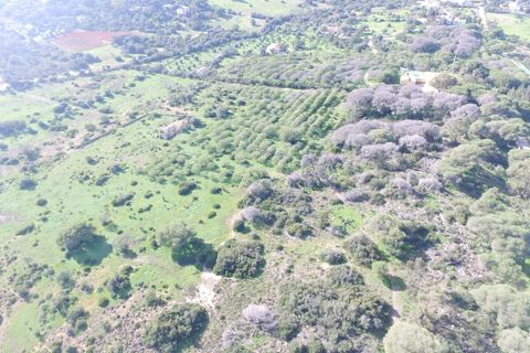 Farm hus i Lagoa, Faro, Lagoa - € 2.800.000 | Ref: BAP- 25 - foto 3