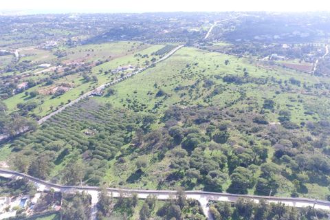 Farm hus i Lagoa, Faro, Lagoa - € 2.800.000 | Ref: BAP- 25 - foto 4