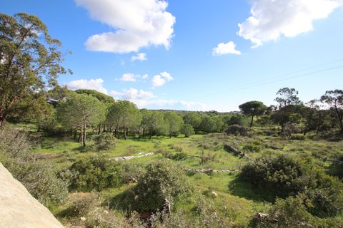 Farm hus i Lagoa, Faro, Lagoa - € 2.800.000 | Ref: BAP- 25 - foto 5