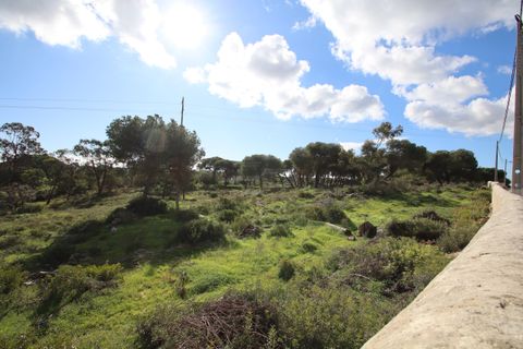 Farm hus i Lagoa, Faro, Lagoa - € 2.800.000 | Ref: BAP- 25 - foto 6