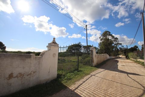 Farm hus i Lagoa, Faro, Lagoa - € 2.800.000 | Ref: BAP- 25 - foto 7