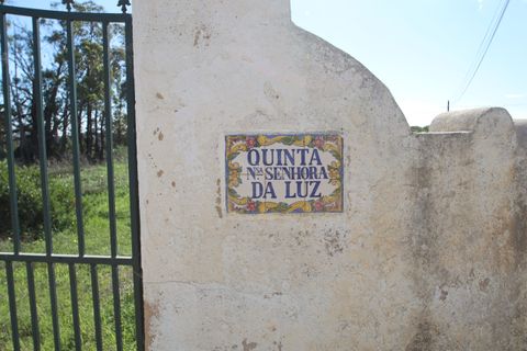 Farm hus i Lagoa, Faro, Lagoa - € 2.800.000 | Ref: BAP- 25 - foto 8