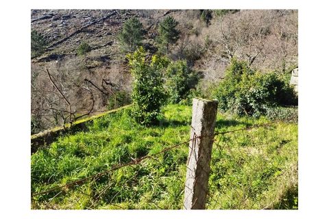 Villa i Viana do Castelo, Viana do Castelo, Viana do Castelo - € 60.000 | Ref: F2-06-3 - foto 3