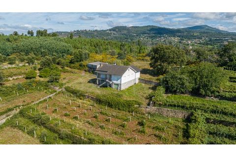 Farm i Moncao, Viana do Castelo, Moncao - € 210.000 | Ref: F2-03-44 - foto 9