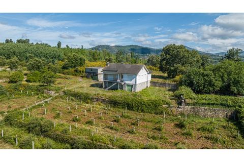 Farm i Moncao, Viana do Castelo, Moncao - € 210.000 | Ref: F2-03-44 - foto 10