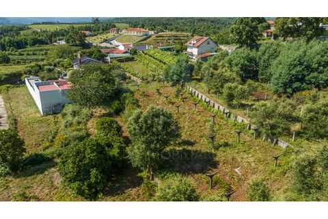 Farm i Moncao, Viana do Castelo, Moncao - € 210.000 | Ref: F2-03-44 - foto 12