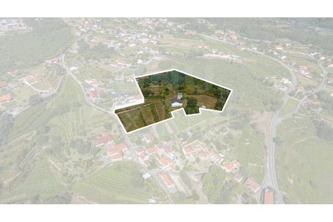 Farm i Moncao, Viana do Castelo, Moncao - € 210.000 | Ref: F2-03-44 - foto 16