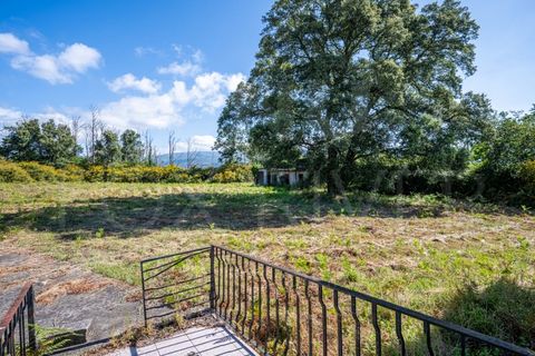 Farm i Moncao, Viana do Castelo, Moncao - € 210.000 | Ref: F2-03-44 - foto 28