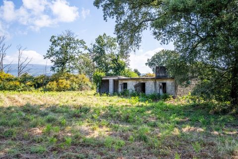 Farm i Moncao, Viana do Castelo, Moncao - € 210.000 | Ref: F2-03-44 - foto 30