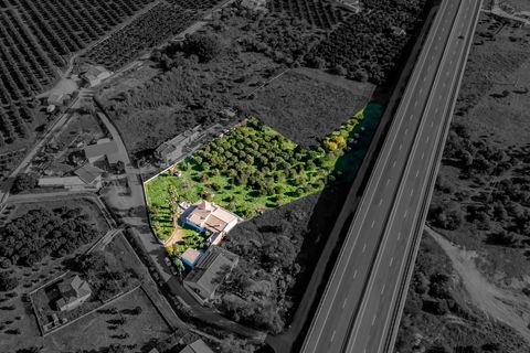 Villa i Carvoeiro, Faro, Carvoeiro - € 467.000 | Ref: C0240-03110 - foto 46