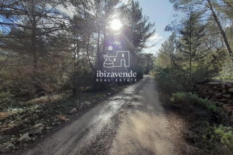 Finca in Sant Joan de Labritja, Ibiza - Foto 1