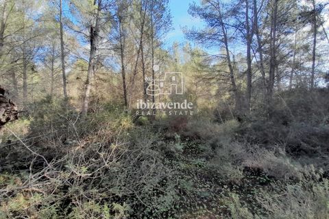 Finca in Sant Joan de Labritja, Ibiza - Foto 3