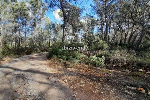Finca in Sant Joan de Labritja, Ibiza - Foto 4