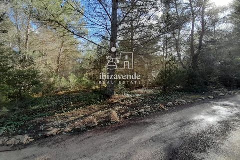 Finca in Sant Joan de Labritja, Ibiza - Foto 5