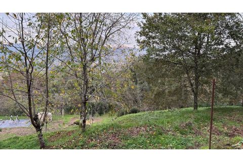 Villa in Valenca, Viana do Castelo, Valenca - € 42.000 | Ref: UNU-F1-03-60 - foto 6