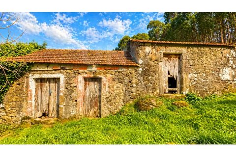 Villa in Valenca, Viana do Castelo, Valenca - € 42.000 | Ref: UNU-F1-03-60 - foto 5