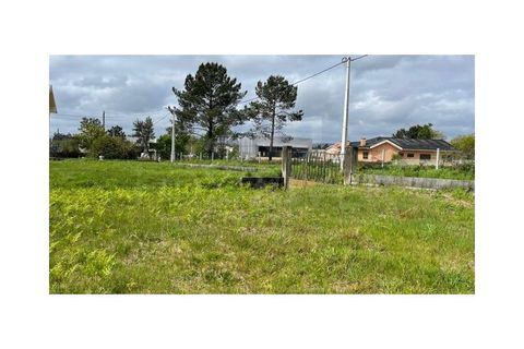 Terra a Gandra e Taiao, Viana do Castelo, Gandra e Taiao - € 90.000 | Ref: F1-03-26 - foto 11