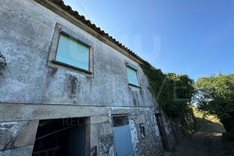 Helårsgrund i Gandra e Taiao, Viana do Castelo, Gandra e Taiao - € 295.000 | Ref: F1-03-35 - foto 9