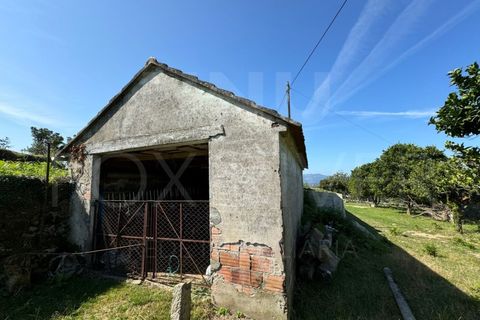Helårsgrund i Gandra e Taiao, Viana do Castelo, Gandra e Taiao - € 295.000 | Ref: F1-03-35 - foto 10
