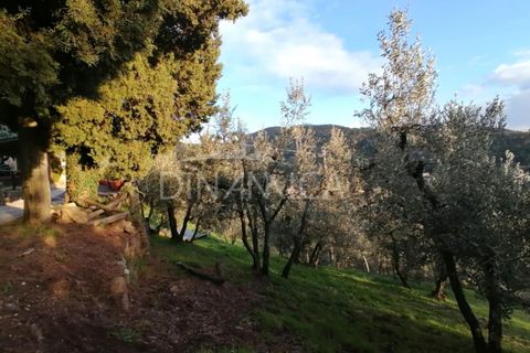 Landejendom i Vinci, Florence, Vinci - € 125.000 | Ref: 1003-251L - foto 4