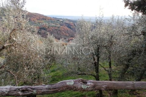 Landejendom i Vinci, Florence, Vinci - € 125.000 | Ref: 1003-251L - foto 17