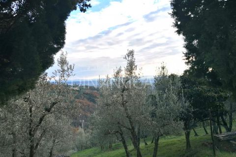 Landejendom i Vinci, Florence, Vinci - € 125.000 | Ref: 1003-251L - foto 18