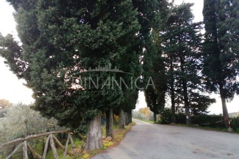 Landejendom i Vinci, Florence, Vinci - € 125.000 | Ref: 1003-251L - foto 20