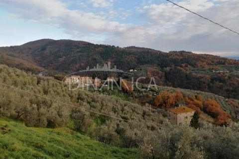 Landejendom i Vinci, Florence, Vinci - € 125.000 | Ref: 1003-251L - foto 21