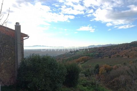 Landejendom i Vinci, Florence, Vinci - € 125.000 | Ref: 1003-251L - foto 23