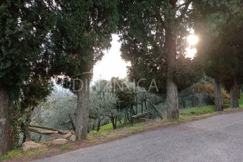 Landejendom i Vinci, Florence, Vinci - € 125.000 | Ref: 1003-251L - foto 26