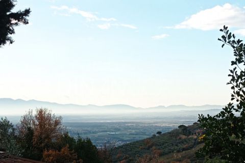 Landejendom i Vinci, Florence, Vinci - € 125.000 | Ref: 1003-251L - foto 27