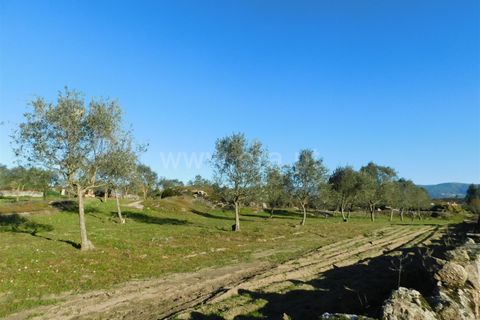 Terra a Seia, Guarda, Seia - € 130.000 | Ref: 382240149 - foto 4