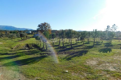 Terra a Seia, Guarda, Seia - € 130.000 | Ref: 382240149 - foto 5
