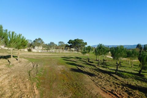 Terra a Seia, Guarda, Seia - € 130.000 | Ref: 382240149 - foto 7