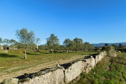 Terra a Seia, Guarda, Seia - € 130.000 | Ref: 382240149 - foto 8